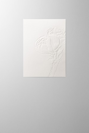 Hieronymus Greetingcards Greeting Card Amaryllis Cotton White Cream A000532 A5