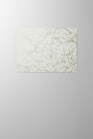 Hieronymus Greetingcards Greeting Card Acanthus Cotton White Green A000615 A5