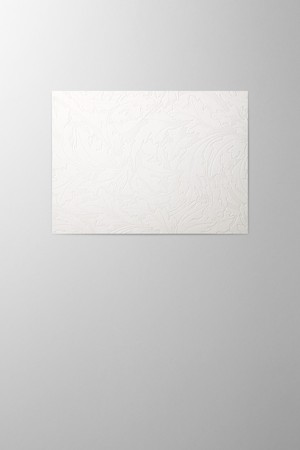 Hieronymus Greetingcards Greeting Card Acanthus Cotton White Cream A000614 A5