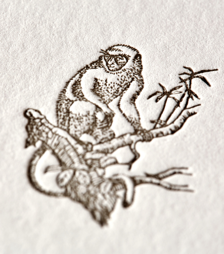 Hieronymus letterheads letterhead monkey a4 white cream 50 sheets a000155 detail1