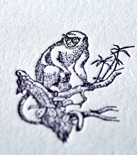 Hieronymus letterheads letterhead monkey a4 white blue 50 sheets a000158 detail1