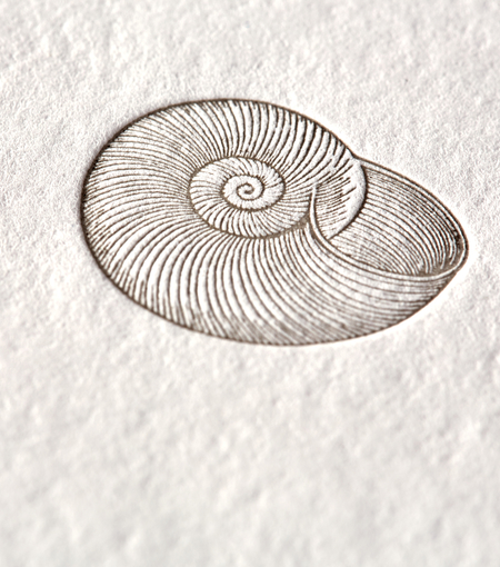 Hieronymus letterheads letterhead snail a4 white cream 50 sheets a000163 detail1