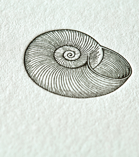 Hieronymus letterheads letterhead snail a4 white green 50 sheets a000165 detail1