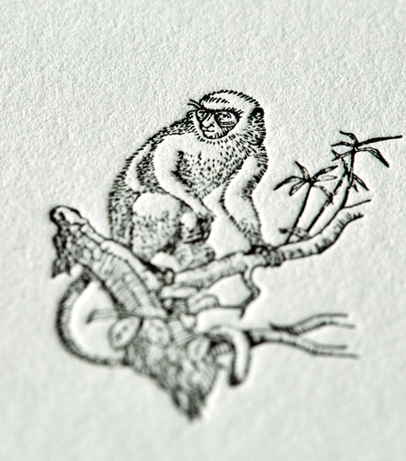 Hieronymus writing cards writing card monkey a5 set white green 12 pcs a000205 detail1