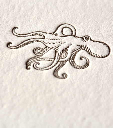 Hieronymus writing cards writing card octopus a5 set white cream 12 pcs a000223 detail1
