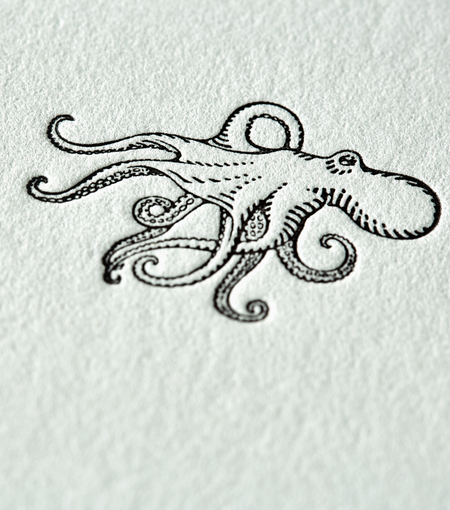 Hieronymus writing cards writing card octopus a5 set white green 12 pcs a000225 detail1