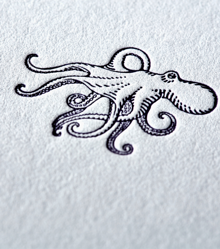 Hieronymus writing cards writing card octopus a5 set white blue 12 pcs a000226 detail1