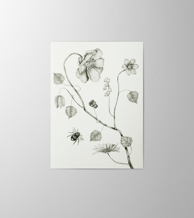 Hieronymus Greetingcards Greeting Card Spring Cotton White Green A000558 A5