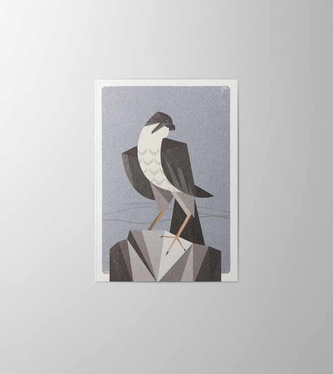 Hieronymus Greetingcards Greeting Card Falcon Stone A000566 A6