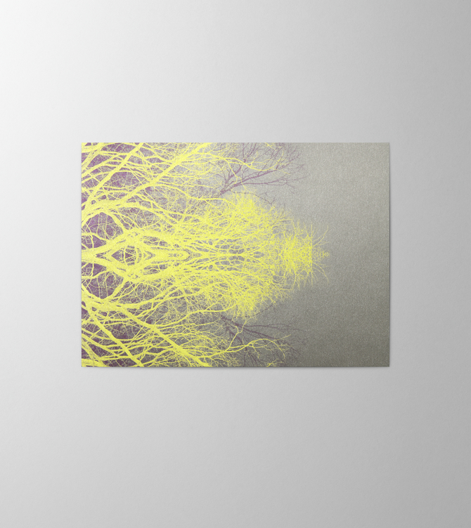 Hieronymus Greetingcards Greeting Card Trees Intense #4 A000587 A5