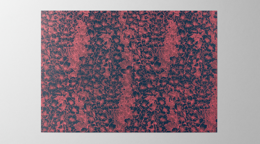 Hieronymus wrapping paper wrapping paper gladiolus coral a000468 9
