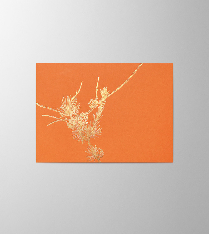 Hieronymus Greetingcards Christmas Greeting Card Larix Indian Summer A005878