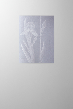Hieronymus Condolence Greeting Card Iris Dark Silver A004551 A5
