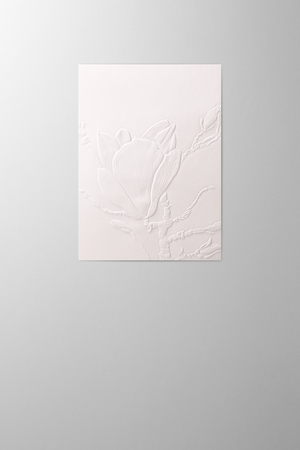 Hieronymus Mother's Day Birthday Greetingcards Greeting Card Magnolia Cotton White Red A005475 A5