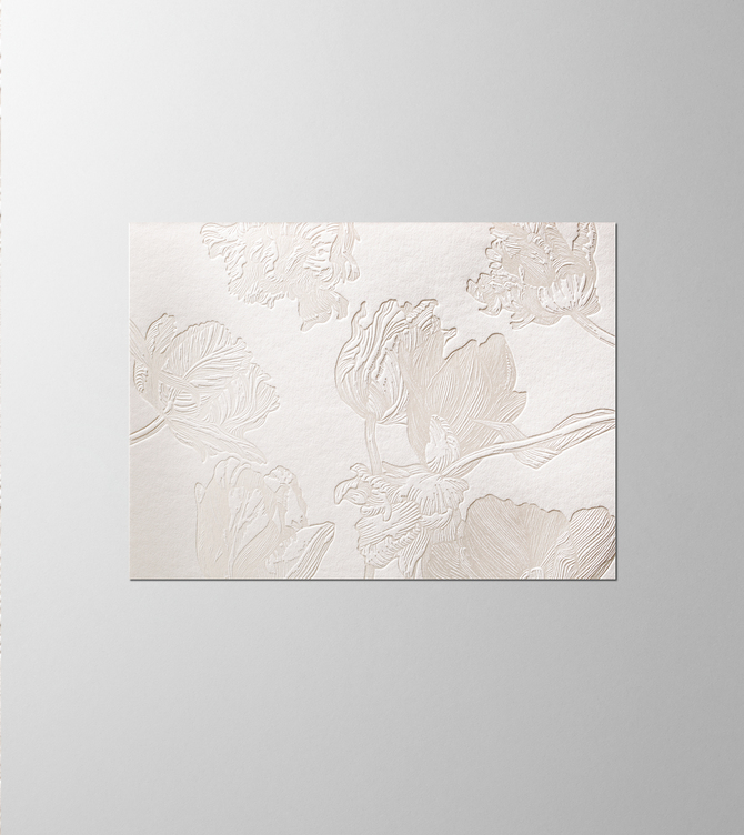 Hieronymus Greetingcards Greeting Card Tulipa White Cream A005487 A005487 A.jpg