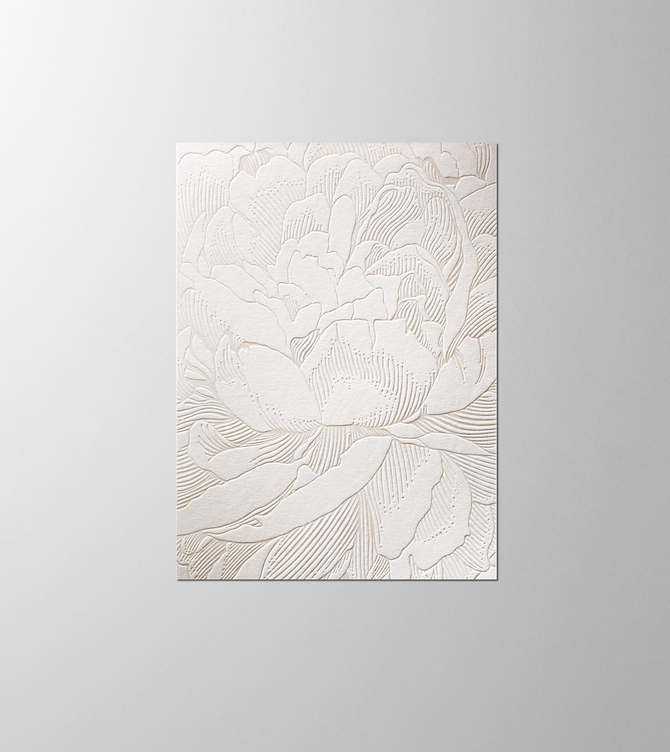 Hieronymus Birthday Greetingcards Greeting Card Paeonia White Cream A005488 A005488 A.jpg
