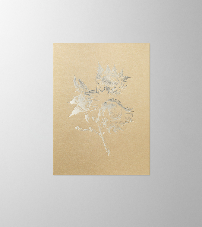 Hieronymus Christmas Greetingcards Greeting Card Hazelnut Sand Gold A005517 A005517 A.jpg