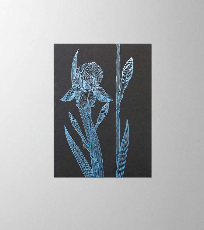 Hieronymus Condolence Greeting Card Iris Dark Blue A005558 A005558 A.jpg