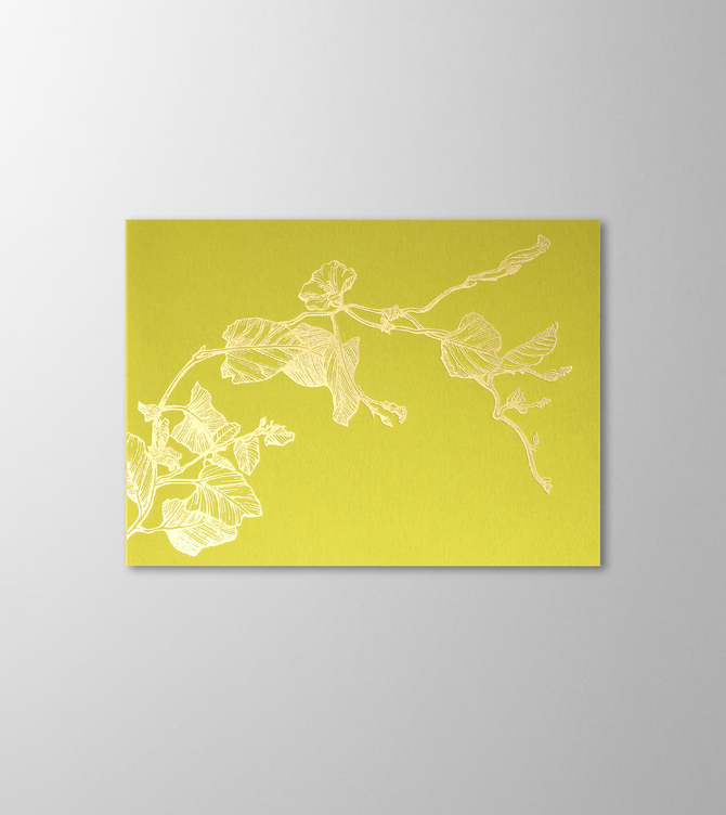 Hieronymus Greetingcards Greeting Card Liseron Lime A005639 