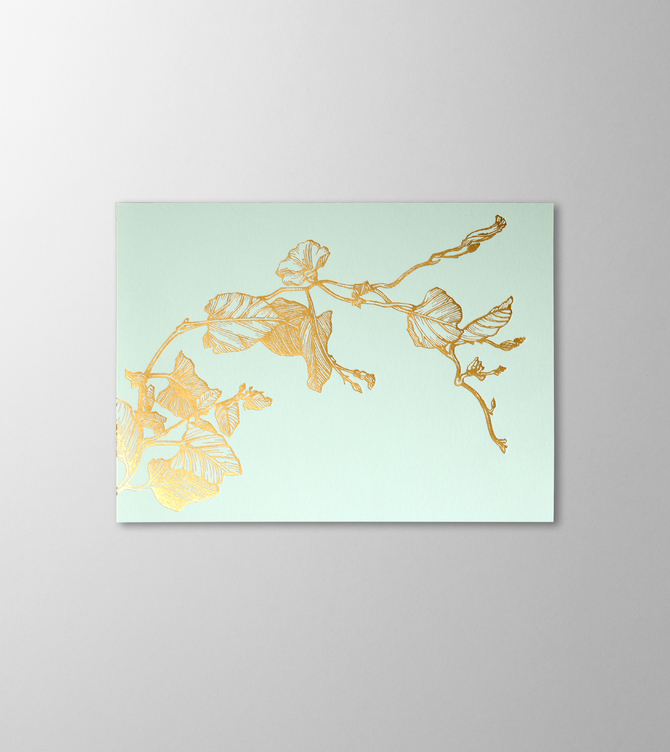 Hieronymus Greetingcards Greeting Card Liseron Mint A005640 