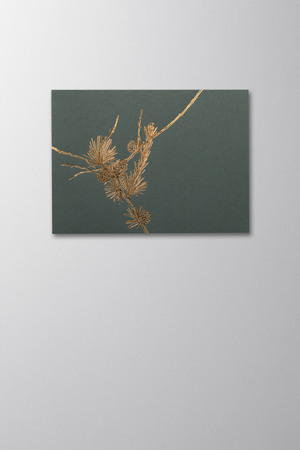 Hieronymus Greetingcards Christmas Greeting Card Larix Dark Green A005662 A005662 A.jpg
