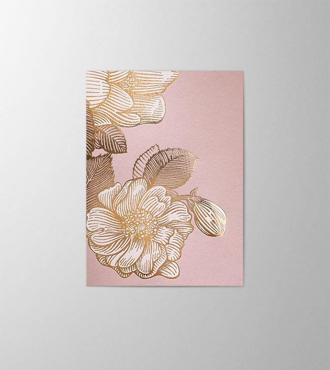 Hieronymus Birthday Mother's Day Greetingcards Greeting Card Wild Rose Rosewood A005679 A5