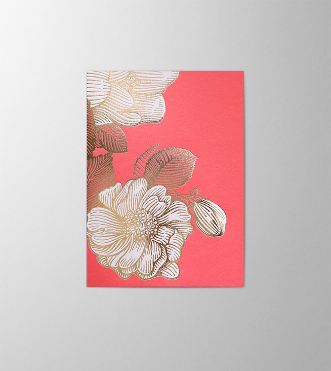 Hieronymus Birthday Mother's Day Greetingcards Greeting Card Wild Rose Corallo A005680 A5