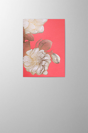 Hieronymus Birthday Mother's Day Greetingcards Greeting Card Wild Rose Corallo A005680 A5