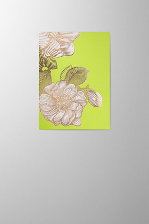 Hieronymus Mother's Day Birthday Greetingcards Greeting Card Wild Rose Lime A005684 A5
