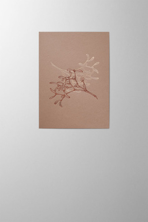 Hieronymus Christmas Greeting Card Twisted Mistletoes Marron A005687 A5