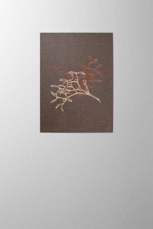 Hieronymus Christmas Greeting Card Twisted Mistletoes Chocolate A005688 A5