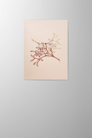 Hieronymus Christmas Greeting Card Twisted Mistletoes Rose Gold A005689 A5