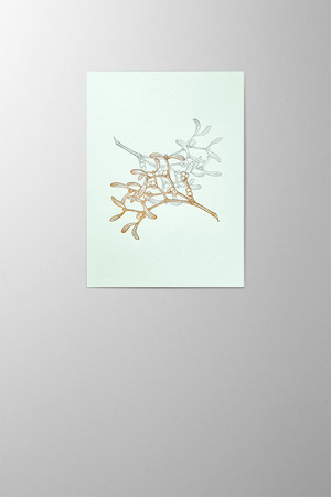 Hieronymus Christmas Greeting Card Twisted Mistletoes White Green A005690 A5