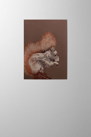 Hieronymus Christmas Greetingcards Greeting Card Squirrel Chocolate A005724 A005724 A.jpg
