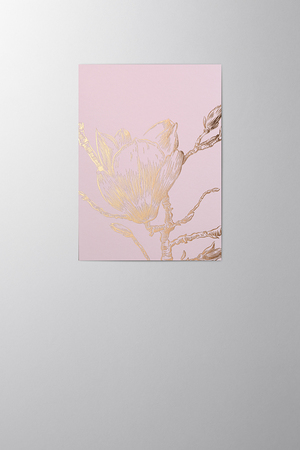 Hieronymus Greetingcards Easter Birthday Mother's Day Greeting Card Magnolia Blush A005729 A5