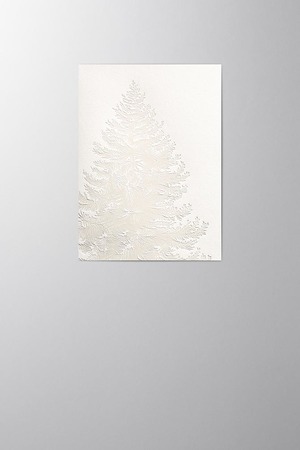 Hieronymus Christmas Greetingcards Greeting Card Nobilis Magnus Cotton White Cream A005749 A5