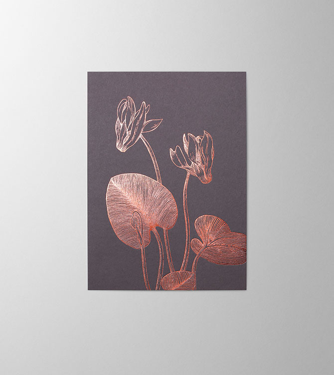 Hieronymus Condolence Greetingcards Greeting Card Cyclamen Blackberry A005768 