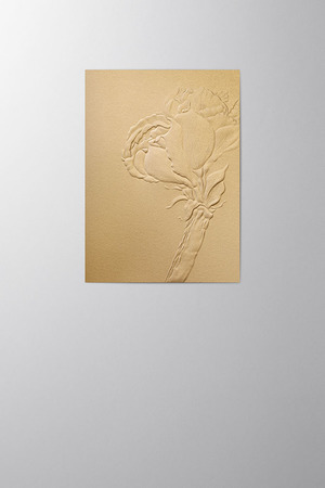 Hieronymus Christmas Greeting Card Amaryllis Gold A005794 