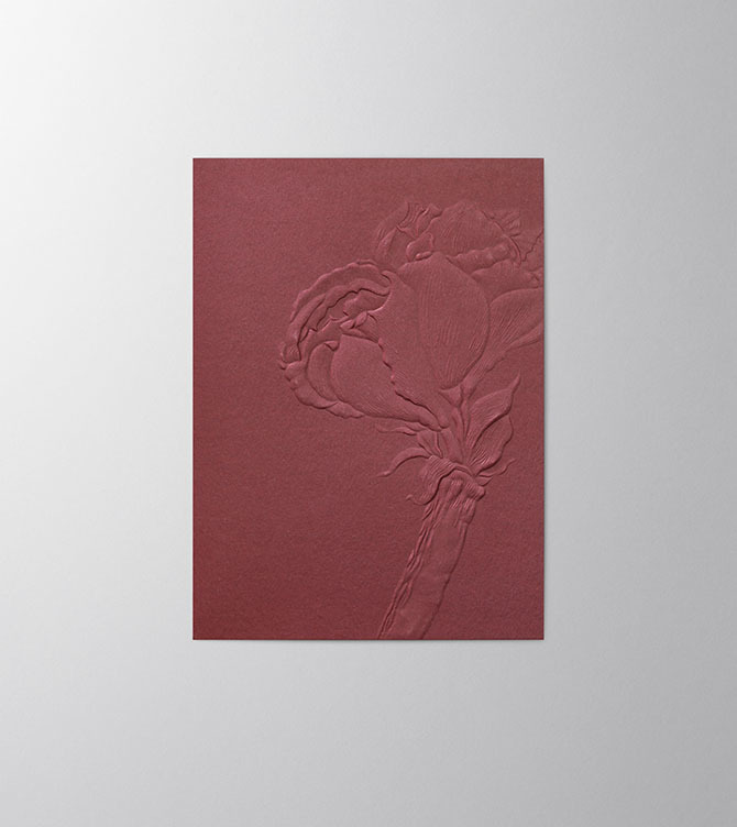 Hieronymus Christmas Greeting Card Amaryllis Bordeaux A005795 