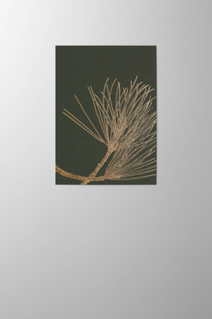 Hieronymus Greetingcards Christmas Greeting Card Pinus Nigra Dark Green A005796 A005796 A.jpg