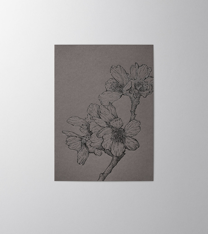 Hieronymus Greetingcards Condolence Greeting Card Sakura Graphite A005815 