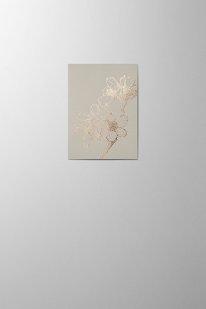 Hieronymus Small A6 Greeting Card Sakura Dust Small A005841 A6.jpg