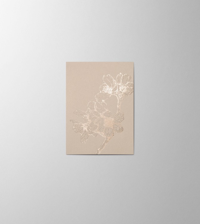 Hieronymus Small A6 Greeting Card Sakura Shiny Nude Small A005843 A6.jpg