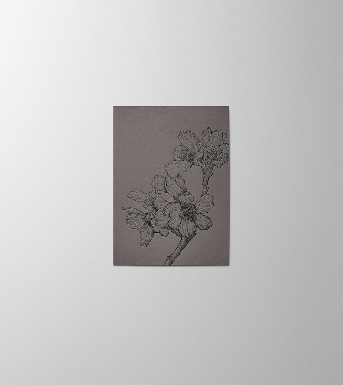 Hieronymus Condolence Small A6 Greeting Card Sakura Graphite Small A005842 A6.jpg