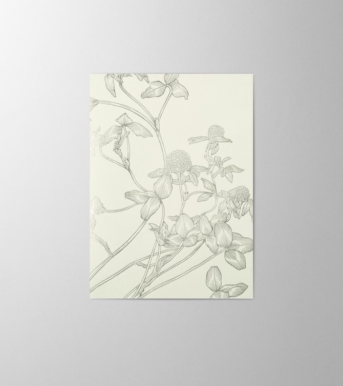 Hieronymus New Year Greetingcards Greeting Card Trifolium Pratense White Green A005870 