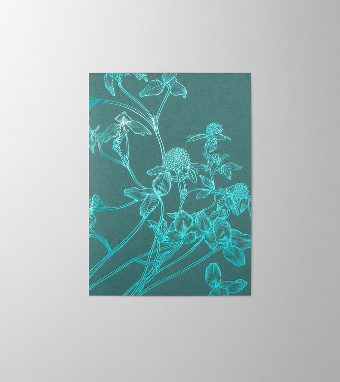 Hieronymus New Year Greetingcards Greeting Card Trifolium Pratense Petrol A005869 