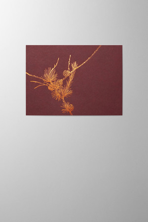 Hieronymus Christmas Greetingcards Greeting Card Larix Maple Red A005879 