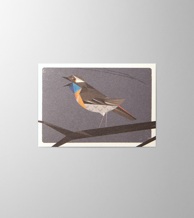 Hieronymus Greeting Card Bluethroat Anthracite A000569 A6