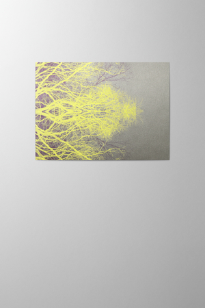 Hieronymus Greeting Card Trees Intense #4 A000587 A5