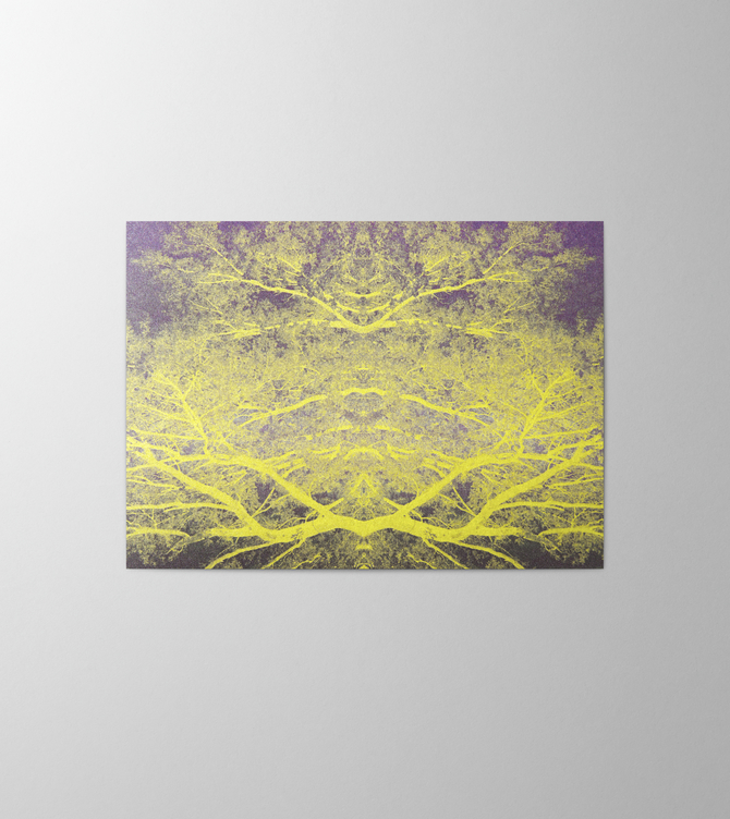 Hieronymus Greeting Card Trees Intense #6 A000588 A5